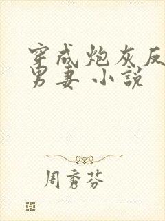 穿成炮灰反派的男妻 小说