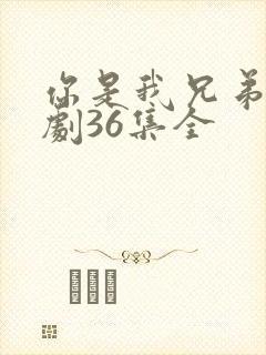 你是我兄弟电视剧36集全