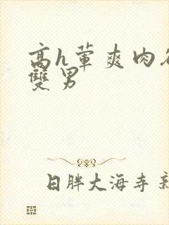 高h荤爽肉欲文双男