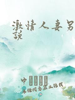 激情人妻另类小说