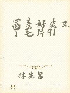 国产好爽又高潮了毛片91