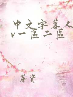 中文字幕人妻av一区二区