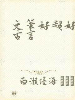 文笔好超好看的古言