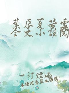 叶辰夏若雪免费全文小说阅读最新章节