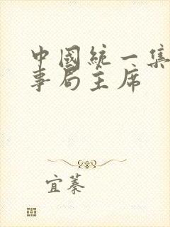 中国统一集团董事局主席