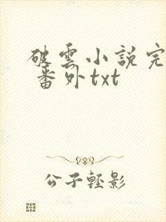 破云小说完整版 番外txt