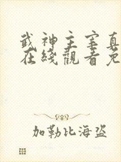 武神主宰真人版在线观看免费全集