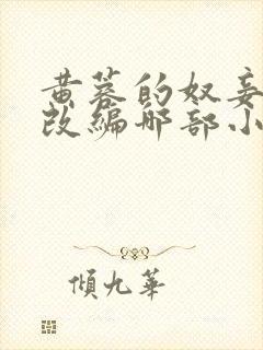 黄蓉的奴妾小说改编哪部小说