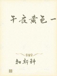 午夜黄色一级片