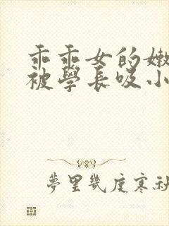 乖乖女的嫩奶头被学长吸小说