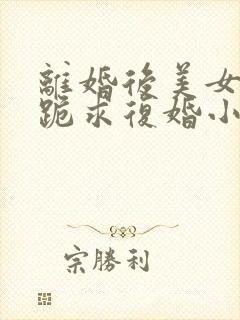 离婚后美女总裁跪求复婚小说免费下载完整版