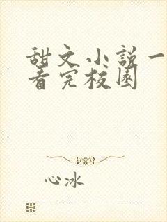 甜文小说一口气看完校园