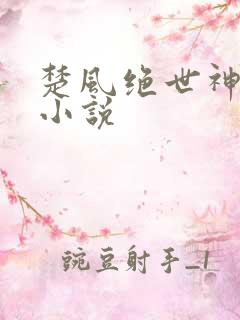 楚风绝世神皇的小说