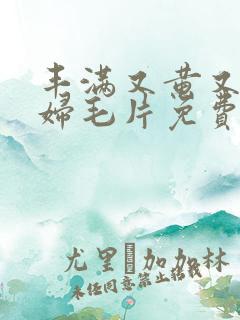 丰满又黄又爽少妇毛片免费看软件