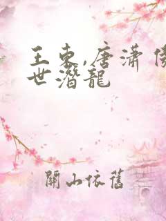 王东,唐潇 傲世潜龙