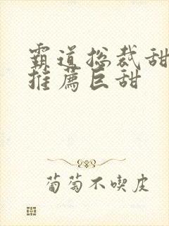 霸道总裁甜宠文推荐巨甜