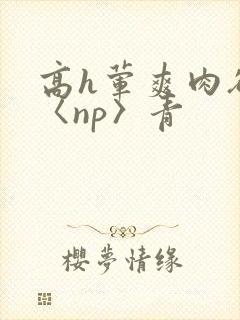 高h荤爽肉欲文〈np〉青