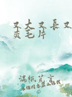 又大又长又粗又爽毛片