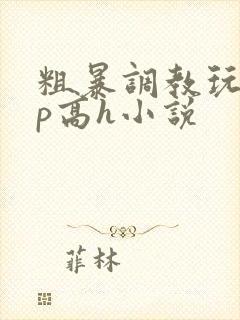 粗暴调教玩弄np高h小说