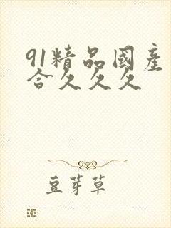91精品国产综合久久久