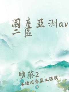 国产亚洲av区二区