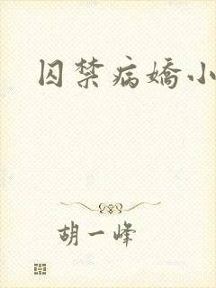 囚禁病娇小说