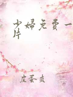 少妇免费一级淫片