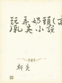 玩弄奶头(高h)乳夹小说