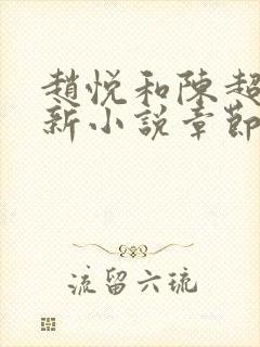 赵悦和陈超的最新小说章节更新时间