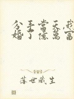 分手当天,我闪婚了亿万富豪在线全本阅读