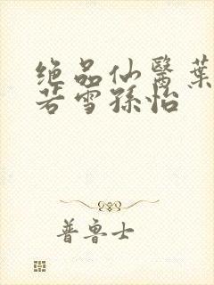 绝品仙医叶辰夏若雪孙怡