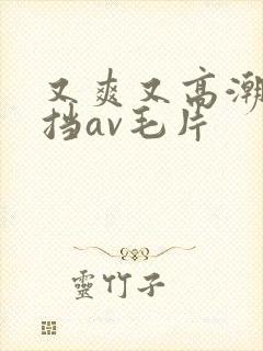 又爽又高潮无遮挡av毛片