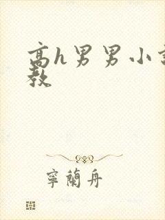 高h男男小说调教