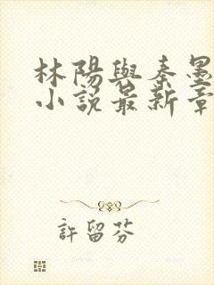 林阳与秦墨浓的小说最新章节