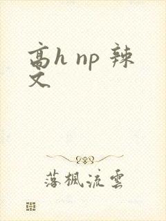 高h np 辣文