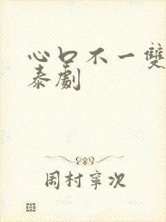 心口不一双男主泰剧