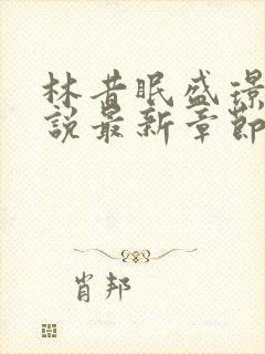 林昔眠盛璟承小说最新章节免费阅读