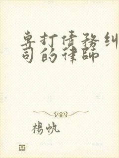 专打债务纠纷官司的律师