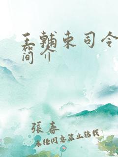 王辅东司令资料简介