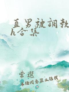 直男被调教成受h合集