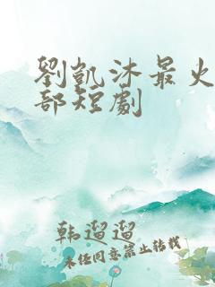 刘凯沐最火的十部短剧