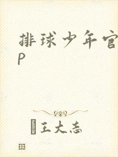 排球少年官配cp