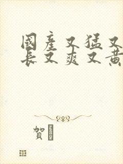 国产又猛又粗又长又爽又黄视频