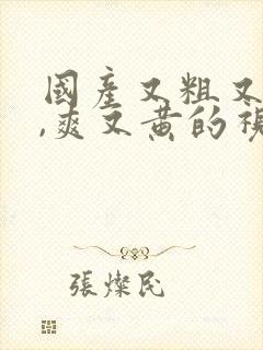 国产又粗又猛又,爽又黄的视频免费