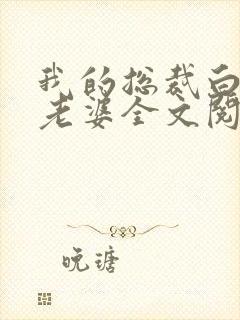 我的总裁白富美老婆全文阅读免费