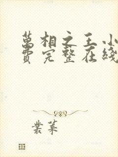 万相之王小说免费完整在线阅读