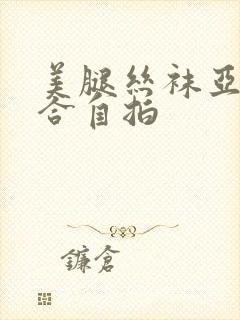 美腿丝袜亚洲综合自拍