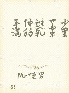 手伸进了少妇丰满的乳罩里