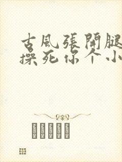 古风张开腿让我操死你个小骚货