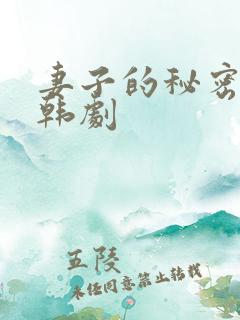 妻子的秘密免费韩剧